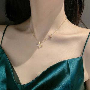 Collier papillon en acier titane qui ne se décolore pas pour la chaîne de clavicule des femmes 2024 nouveau style froid et cool Instagram tendance célébrité Internet chaîne de cou polyvalente