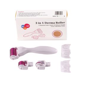 TM-DR005 MOQ 1 pieza Kit 3 en 1 Derma Roller para cuerpo, rostro y ojos Micro Needle Roller 180 600 1200 Agujas Skin DermaRoller