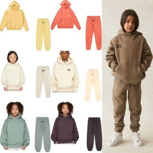 Ess sudaderas con capucha para niños pequeños, bebés, suéter, chándal, conjuntos de ropa de diseñador, ropa para niños, niños y niñas, monos infantiles de algodón, conjunto de ropa