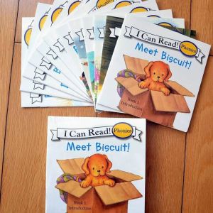 Outils 12 pièces/ensemble Biscuit chien livre d'images enfants illumination bébé enfants anglais apprendre des mots contes série livre de lecture éducatif