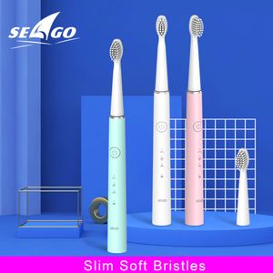 Brosse à dents Seago Sonic Brosse à dents électrique USB Rechargeable Étui de voyage Brosse à dents étanche Adulte 5 Modes Têtes de rechange Cadeau SG-548 230629