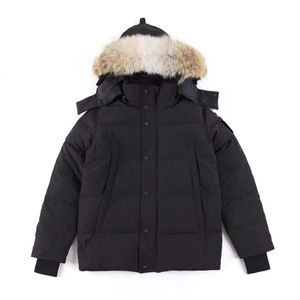 gansos de Canadá Chaqueta de invierno Wyndham para hombre Top Abrigo ártico Parka con capucha con piel Venta Suecia Homme Doudoune Manteau Canadá Diseñador