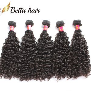 4pcs / lot top qualité indien trame de cheveux humains 1024 pouces naturel noir grade 9a cheveux bouclés armure livraison gratuite