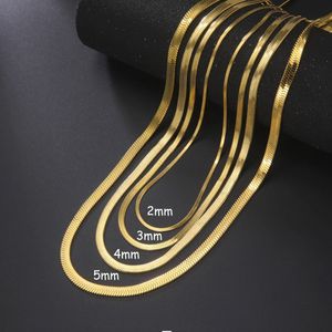Collar de cadena de serpiente de oro amarillo de 14 quilates de alta calidad para mujeres y hombres Color dorado Gargantilla en espiga Cadenas de cuello 2024 Tendencia Regalo de joyería caliente