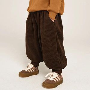 Pantalons Style coréen garçons pantalons décontractés tout-match Harem polaire chaud automne hiver enfants portant