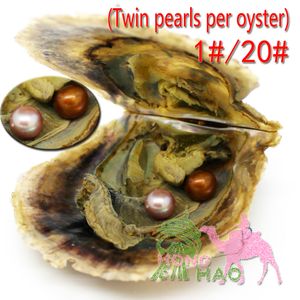 Twins Oyster Vacuum Pack 6-7mm4A Round Pearl Oyster Dyed Edison Freshwater Pearls Magnifiquement présenté dans une coquille d'huître