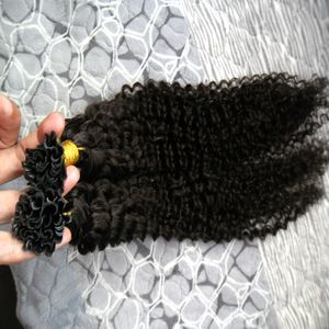 U Tip Hair kératine stick tip extensions de cheveux crépus bouclés 100g 100s Natural Color u tip extensions de cheveux humains