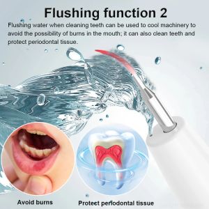 Limpiador de dientes ultrasónico Eliminador de tártaro Desconocido de placa eléctrica Desconectado de cálculo dental sonic