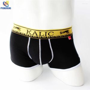 Caleçon 2023 sous-vêtements Sexy hommes classique coton Spandex hommes boxeurs Shorts marque hommes Cuecas Boxer Gay