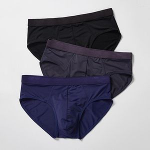 Slip 3 pièces/lot Sexy hommes sous-vêtements doux slips maille respirant mâle Nylon Homme Bikini sous-vêtement grande taille 4XL