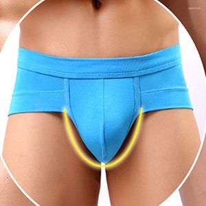 Caleçon 3XL sous-vêtements pour hommes Modal taille basse Sexy U convexe poche Triangle slips petit Boxer tête marée gros pénis