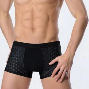 Sous-vêtements Bamboowear Bamboo Boxer Short Hommes Microfibre Slip Sous-vêtements Compression Stretch FS99