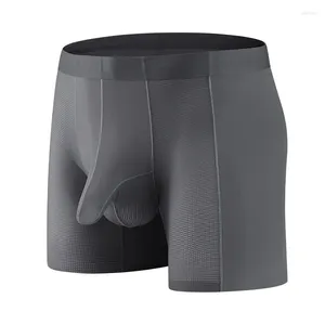Sous-pants Boy Ice Silk Underwear for Men Sexy Boxer Shorts en forme de sage en U Elephant Trunk Pantal