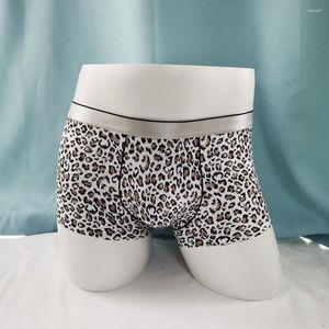 Marca de calzoncillo de alta calidad Seda de seda de hielo Boxer Boxer Shorts Sexy CueCas Boxers Pants Men Gay Basts Leopard