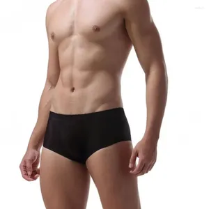 Calzoncillos Est Precio Sedoso Calzoncillos de hielo para hombres Ropa interior sexy Gay Transparente Elástico Bragas para hombre Hombres