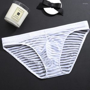 Slip Ice Silk Mens Briefs Bulge Transparent Panties Sexy Men Underwear Plus Size Intimates Mesh Summer Thin L / XL / XXL / 3XL Bikini