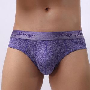 Sous-vêtements JAYCOSIN Sous-vêtements pour hommes Polyester Spandex Slip doux Knickers Shorts Sexy de haute qualité respirant