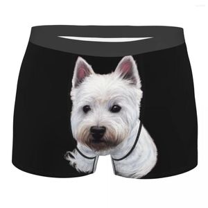 Caleçon mâle Cool West Highland White Terrier chien sous-vêtements mignon Westie Boxer slips hommes Stretch Shorts culottes