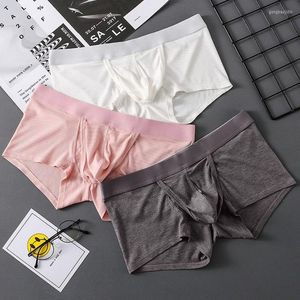 Sous-vêtements Homme Boxers ouverts avec Bulge Dick Sac Respirant Pénis Poche Sous-vêtements Gay Améliorer Sexy Lingerie Glace Soie Érotique Slips