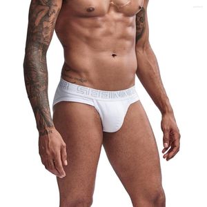 Calzoncillos Ropa interior de algodón para hombres Calzoncillos de marca sexy Bikini masculino Pantalones blancos Cueca Mascul