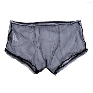 Calzoncillos Pantalones cortos para hombres Boxers sexy Ropa interior Malla Nylon Triángulo transparente Blanco Rojo Negro Azul