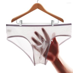 Caleçons sous-vêtements pour hommes slips masculins Sexy gaze transparente mince respirant jeunesse taille basse pantalon