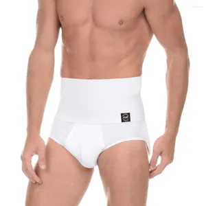 Sous-vêtements pour hommes taille haute contrôle du ventre slips en coton couleur unie haute élasticité u-convexe doux respirant décontracté culotte d'affaires