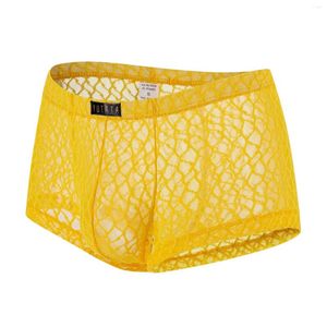 Sous-vêtements pour hommes Lingerie sexy dentelle sous-vêtements transparents Boxers respirants Shorts homme slips transparents sans couture Gay Sissy culottes