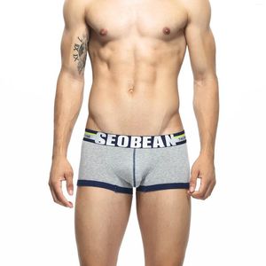 Sous-pants pour hommes convex mascules