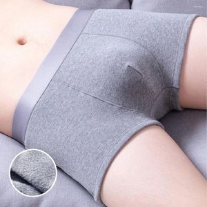 Sous-vêtements hommes hiver garder au chaud polaire Boxer slips respirant sueur Sexy poche de renflement haute sous-vêtements extensibles Shorts de couleur unie