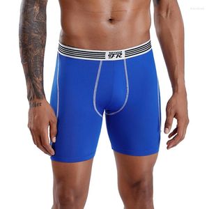 Calzoncillos para hombre Boxer largo pantalones cortos deportes gimnasio atletismo entrenamiento jogging bragas elástico secado rápido fitness ropa interior transpirable