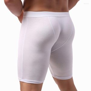 Caleçons Hommes Long Boxer Shorts Sous-Vêtements Sexy Grand U Poche Convexe Demi-longueur Boxershort Jambe Slip Culotte Taille Européenne