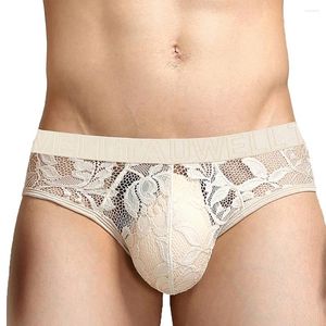 Sous-vêtements pour hommes, slip transparent en maille, culotte à poche bombée, sous-vêtements transparents, taille basse, culotte en dentelle sans couture, Lingerie érotique