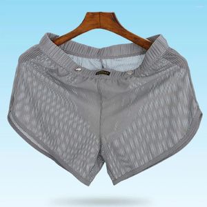 Caleçons Sexy Hommes Lingerie Slips Transparent Maille Lâche Renflement Poche Boxer Shorts Sous-Vêtements Respirant Tronc Boxershorts