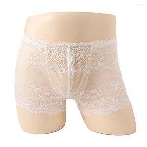 Calzoncillos sexy transparente encaje bragas hombres ropa interior lencería boxers bolsa boxer calzoncillos pantalones cortos y