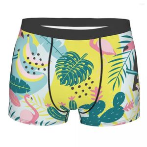 Calzoncillos Tropic Cactus Cotton Panties Shorts Boxer Briefs Hombre Ropa interior Ventilar