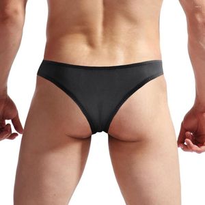 Sous-vêtements camions slips Boxer culottes Homewear maille Lingerie Sexy hommes pochette bas doux mode d'été 2024 confortable