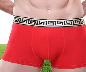 Ropa interior suave transpirable salud escroto grande hombres ropa interior bolsa paquete pantalones cortos ropa China Boxers algodón descarado sólido AM556 5xl6760954