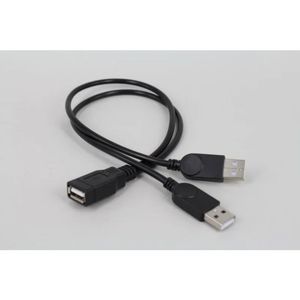 Câble d'extension USB Male à la femme Câble de données pour le clavier de souris Drive USB Femelle USB Femelle à 2 connecteurs USB mâle à femmes fournissant