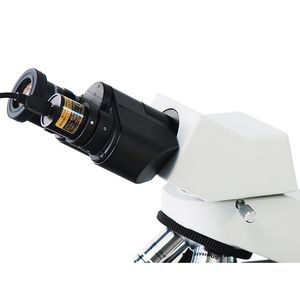 Livraison gratuite Caméra vidéo CCD USB Microscope stéréo biologique Capture d'image Oculaire électronique industriel avec adaptateur à 2 anneaux