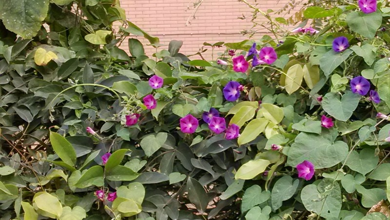 For the people,For you and me!Darling. by Fory