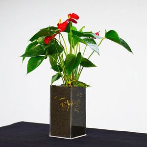 Vases Acrylique Matériel Vase Fleur Bureau Transparence Plastique En Gros