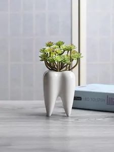 Vases en céramique petits pots de fleurs créativité horticole riche mini-plantes blanches sans trous