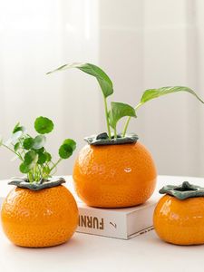 Vases créatifs Orange Vase hydroponique Succulent Pot de fleur décoration de bureau eau surélevée vert maison chambre