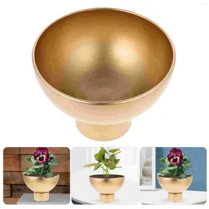 Vases Flower Pots Metal Decorative Vintage Home Simple Iron Small Office Bouteille d'eau or