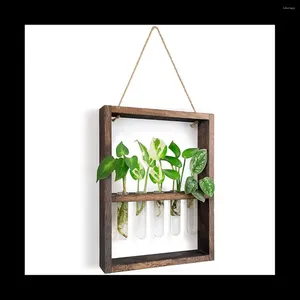 Vases suspendus plantes tube à essai fleur bourgeon verre Terrarium cadre en bois jardin décoration de mariage