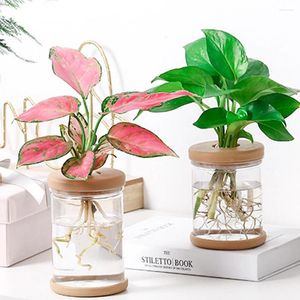 Vases Verre de fleurs hydroponiques Mini imitation transparente Verre Soille sans plante Vase Vase Vase Bonsai Bonsai Home Decor