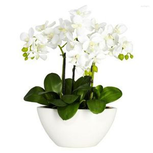 Vases dedans. Arrangement artificiel d'orchidées Phalaenopsis dans un vase blanc