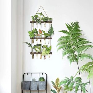 Vases Maghat Wall suspendu Planteur Terrarium avec support en bois Mini Tiered Tesw Tybe Flower Retro Glass propagateur pour la culture