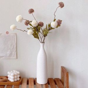 Vases Nordic Ins Style Ceramic and Dry Flower Clothing Stores Decorations Simple Art Art Salon Decoration Soft Decoration